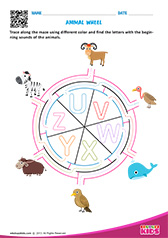 Animal Wheel